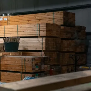 Hout